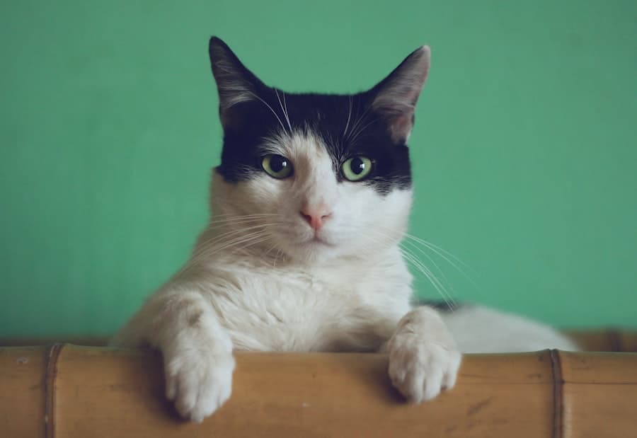 Sandra aus Köln, Nalas Frauchen