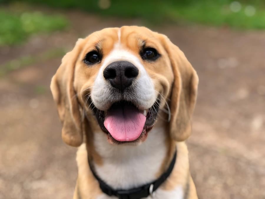 Markus aus Dortmund, Rex' Herrchen