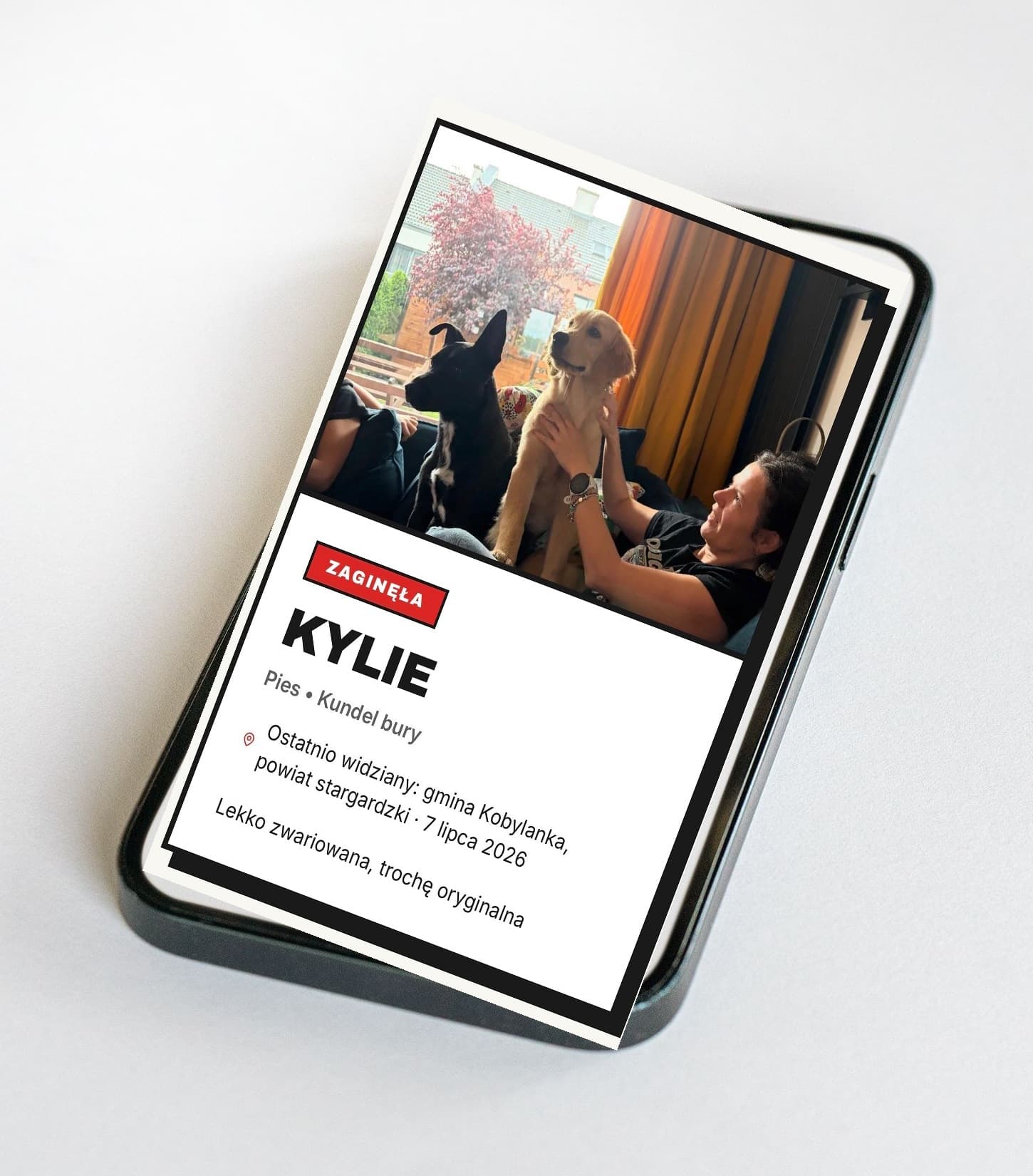 Ein Beispielprofil des entlaufenen Hundes Kylie, geöffnet auf dem Handy direkt nach dem Scannen der Marke